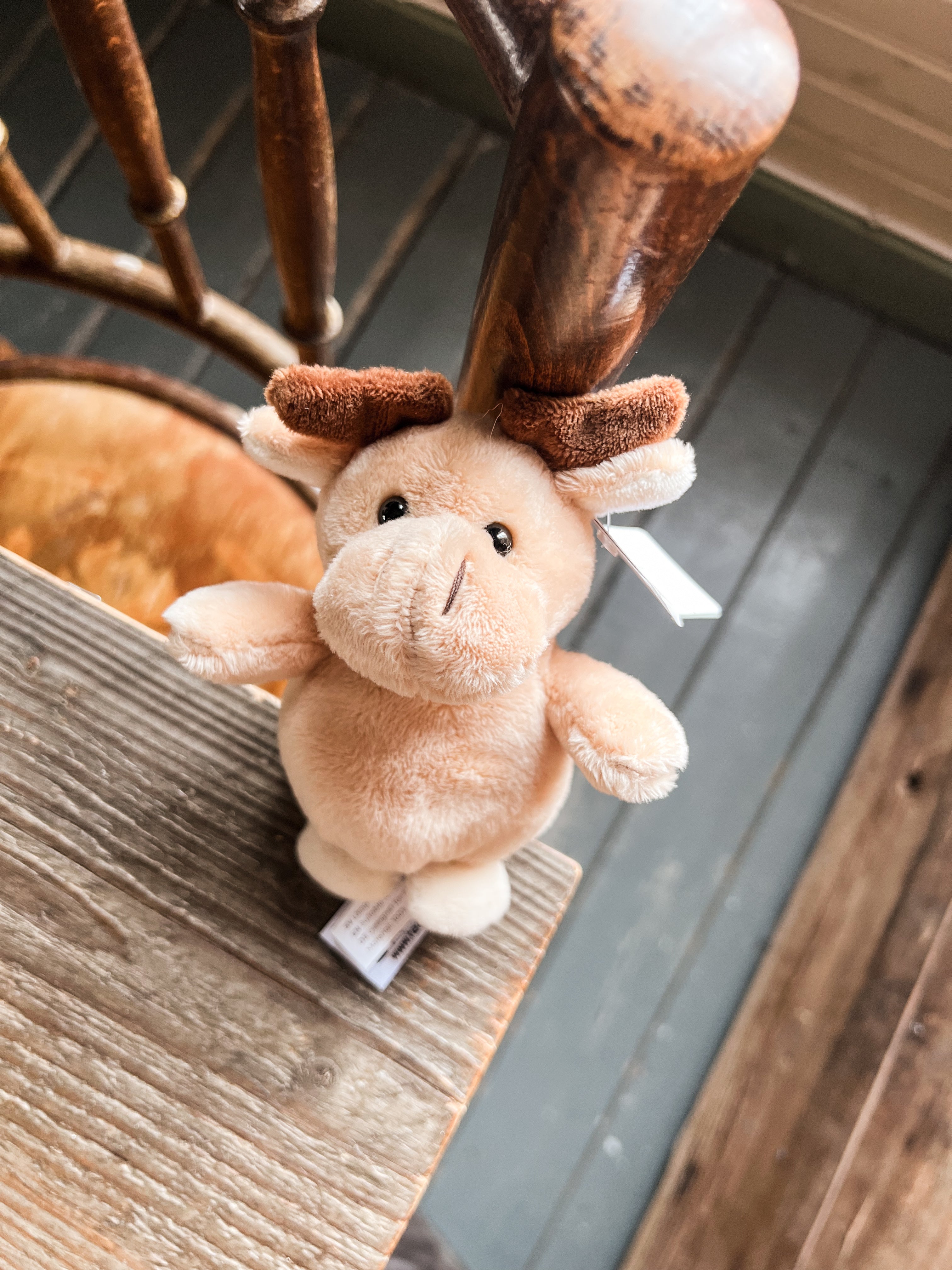 Teddykompaniets Bestie - Älg