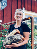 BOKNINGSFÖRFRÅGAN - Bagarens fikakorg för AVHÄMTNING i Öhr
